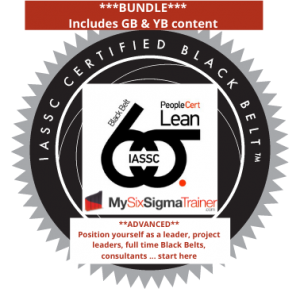 Holbus Training Group – My Six Sigma Trainer – Lean Six Sigma Online ...